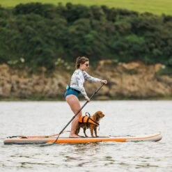 Shark Allround 3-in-1 11' X 34" Paddle Board 2023 24 Shark Allround 3-in-1 11' X 34" Paddle Board 2023 -Sup Inflatables shark 10 6 windsup 1