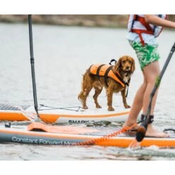 Shark T 12'6 X 30" X 6" Paddleboard 2023 25 Shark T 12'6 X 30" X 6" Paddleboard 2023 -Sup Inflatables shark sups lifestyle board lifestyle32